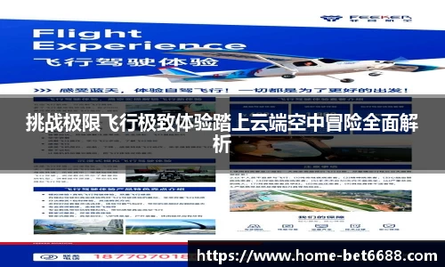 挑战极限飞行极致体验踏上云端空中冒险全面解析